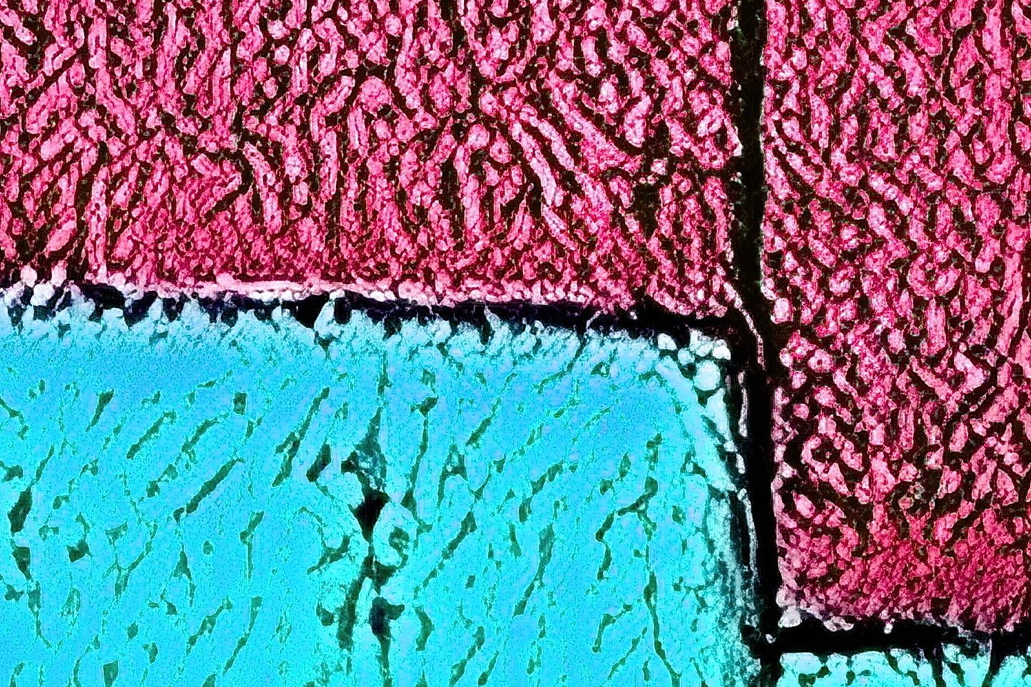 A meeting of soulmates