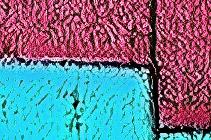 A meeting of soulmates